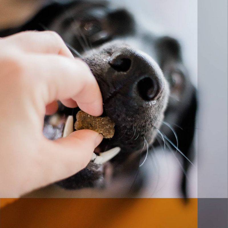 PL360 Trial Size Immunity Boost & Probiotic Dog Soft Chew Supplement - 15ct