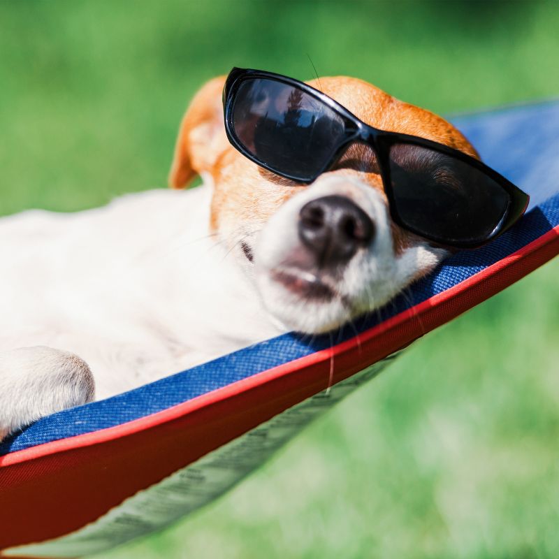 Hastings Home Portable Hammock with Stand, Red