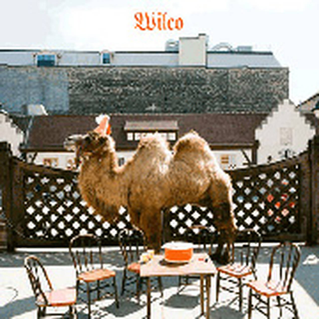 Wilco Wilco (The Album) 180g LP & CD (Vinyl)