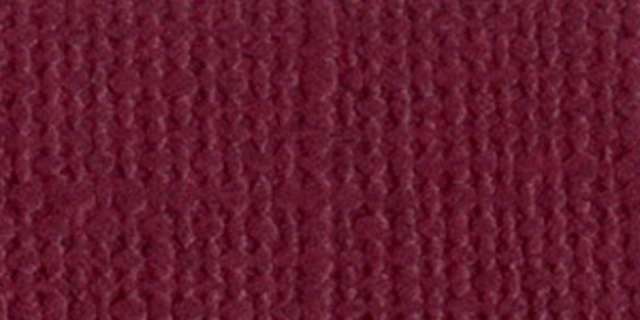 Bazzill BAZL-E-196 Bazzill Cardstock 12 x 12 Inch  - Case of  25