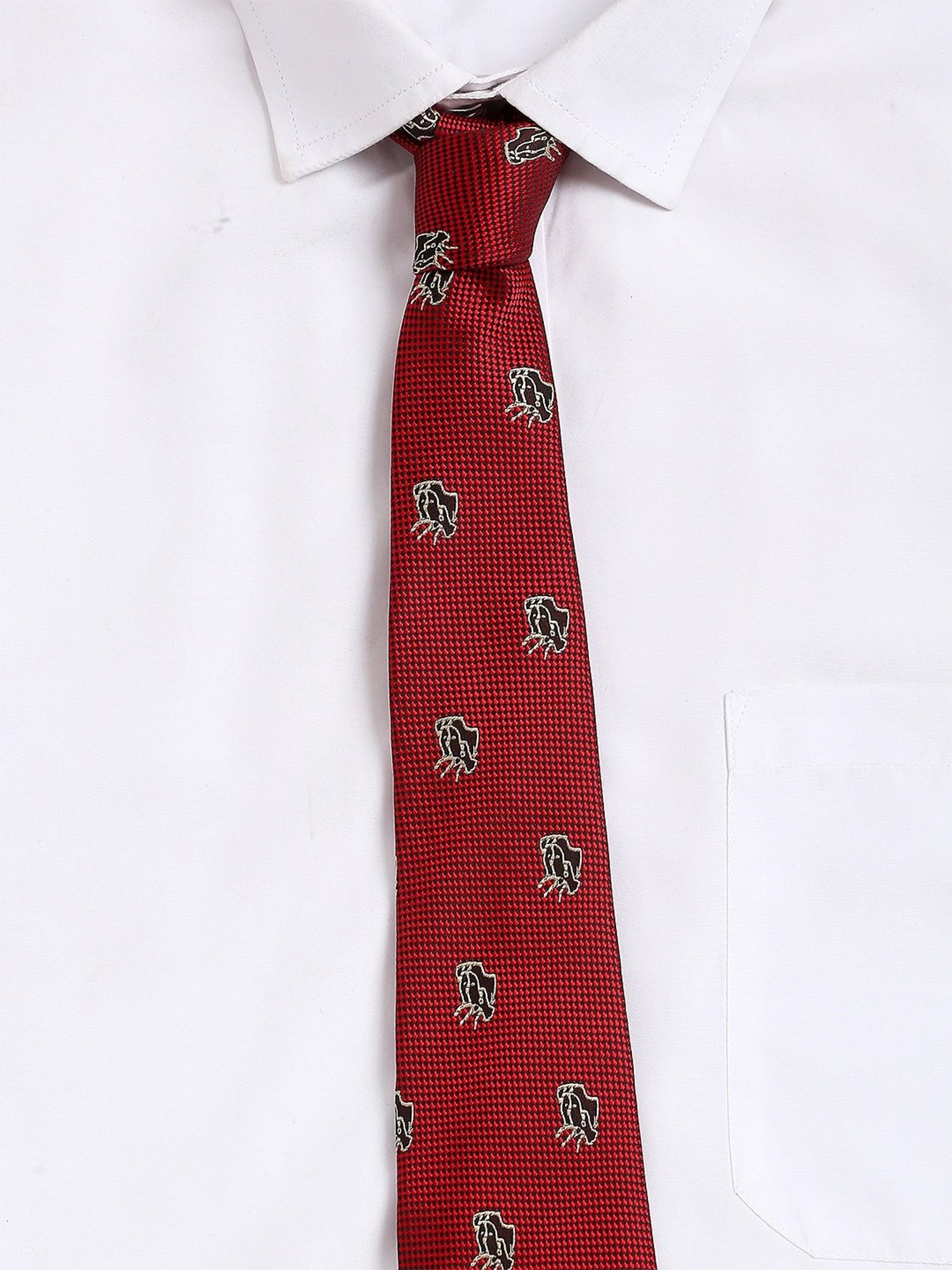 Alvaro Castagnino Red Woven Tie