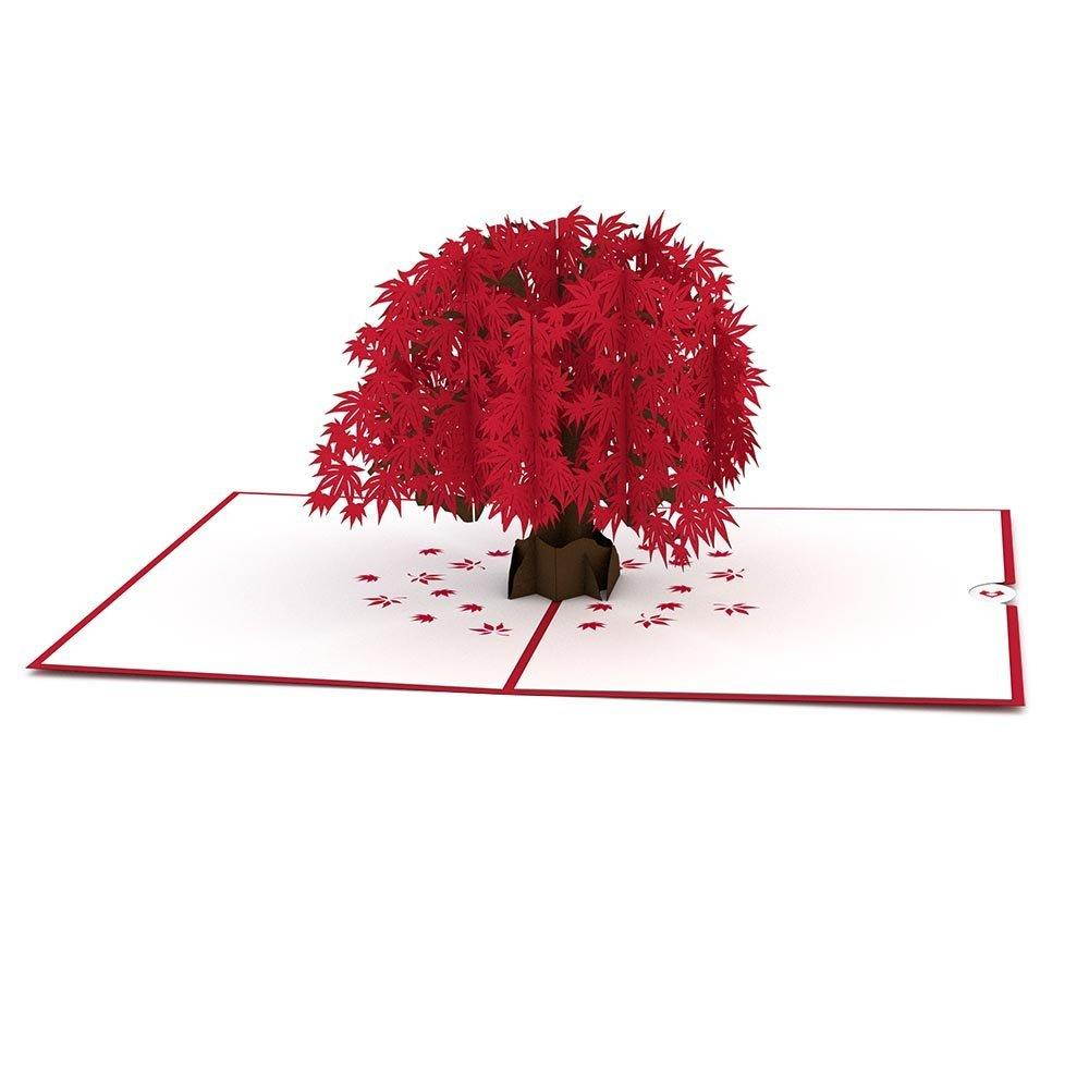 Lovepop Japanese Maple Pop Up Card, 3D Card, Tree Card, Nature Card, Foliage Card, Fall Card