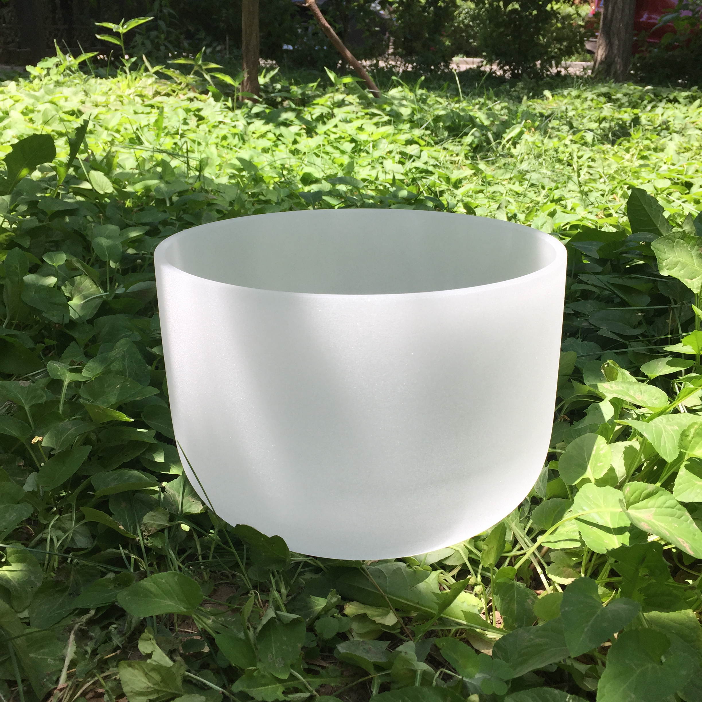 TOPFUND Singing Bowls F Note Crystal Singing Bowl Heart Chakra 10 inch (O ring and Suede Sticker or Rubber Mallet Included)