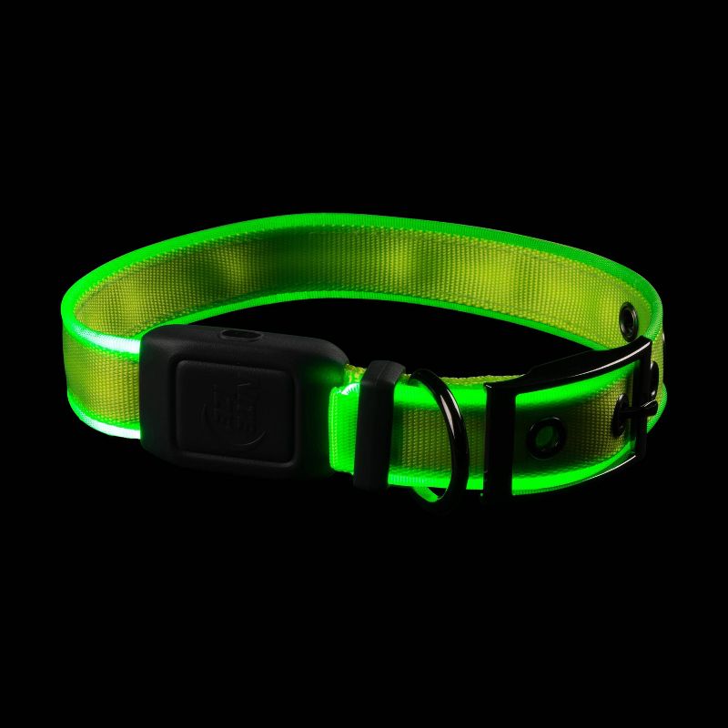 Nite Ize Dog Rechargeable LED Dog Collar - M - Lime/Green