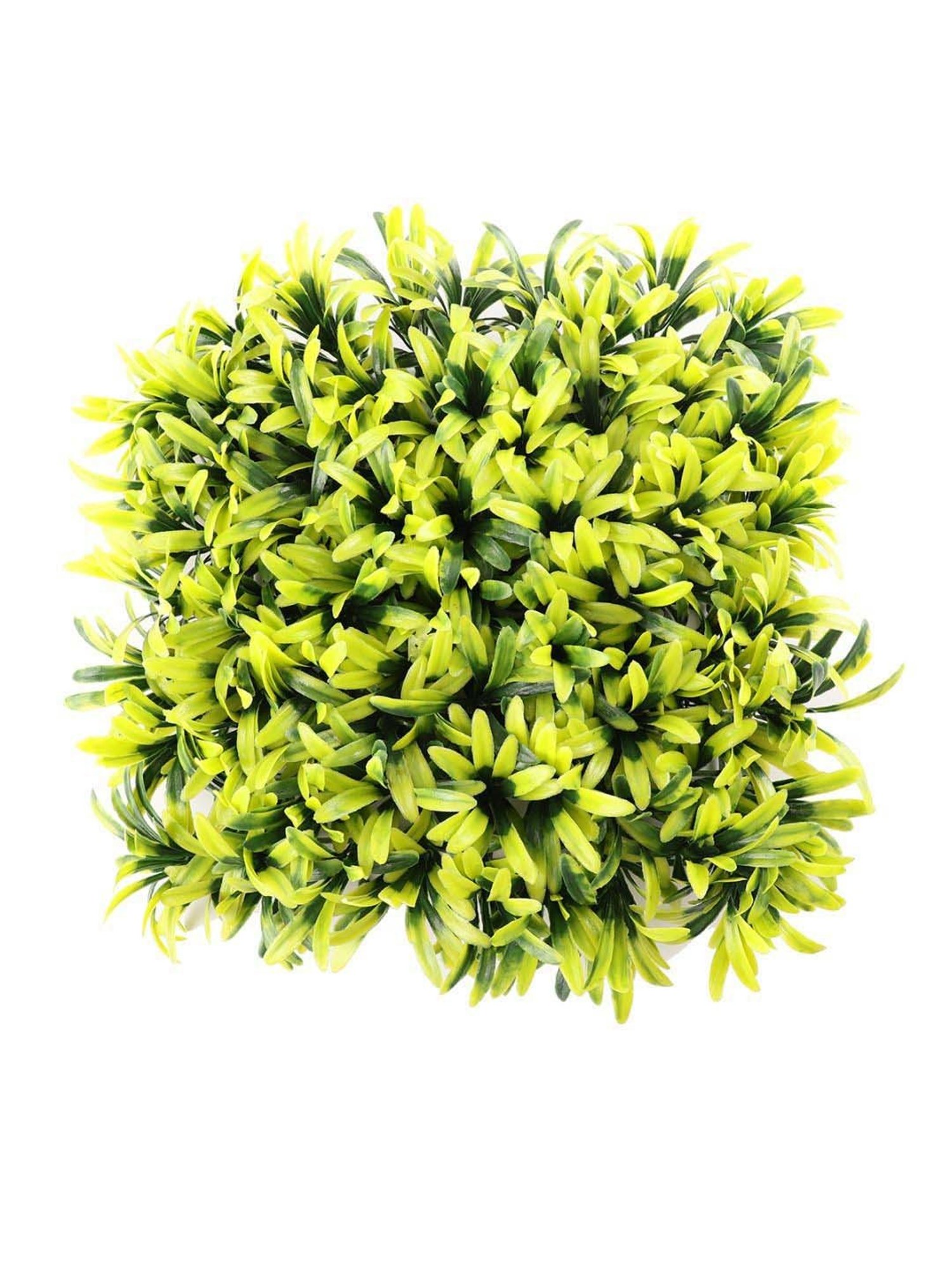 Foliyaj Green Plastic Wall Mat Model