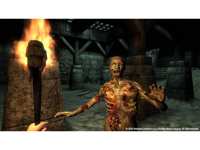 The Elder Scrolls IV: Oblivion Game of the Year Edition Deluxe [Online Game Code]