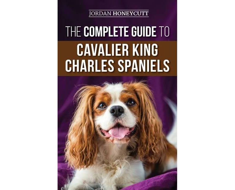 The Complete Guide to Cavalier King Charles Spaniels - by  Jordan Honeycutt (Hardcover)