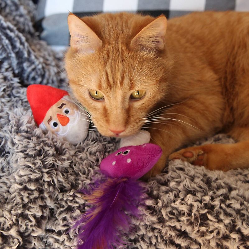 Quirky Kitty Oh Gnome Cat Toy - 2pk