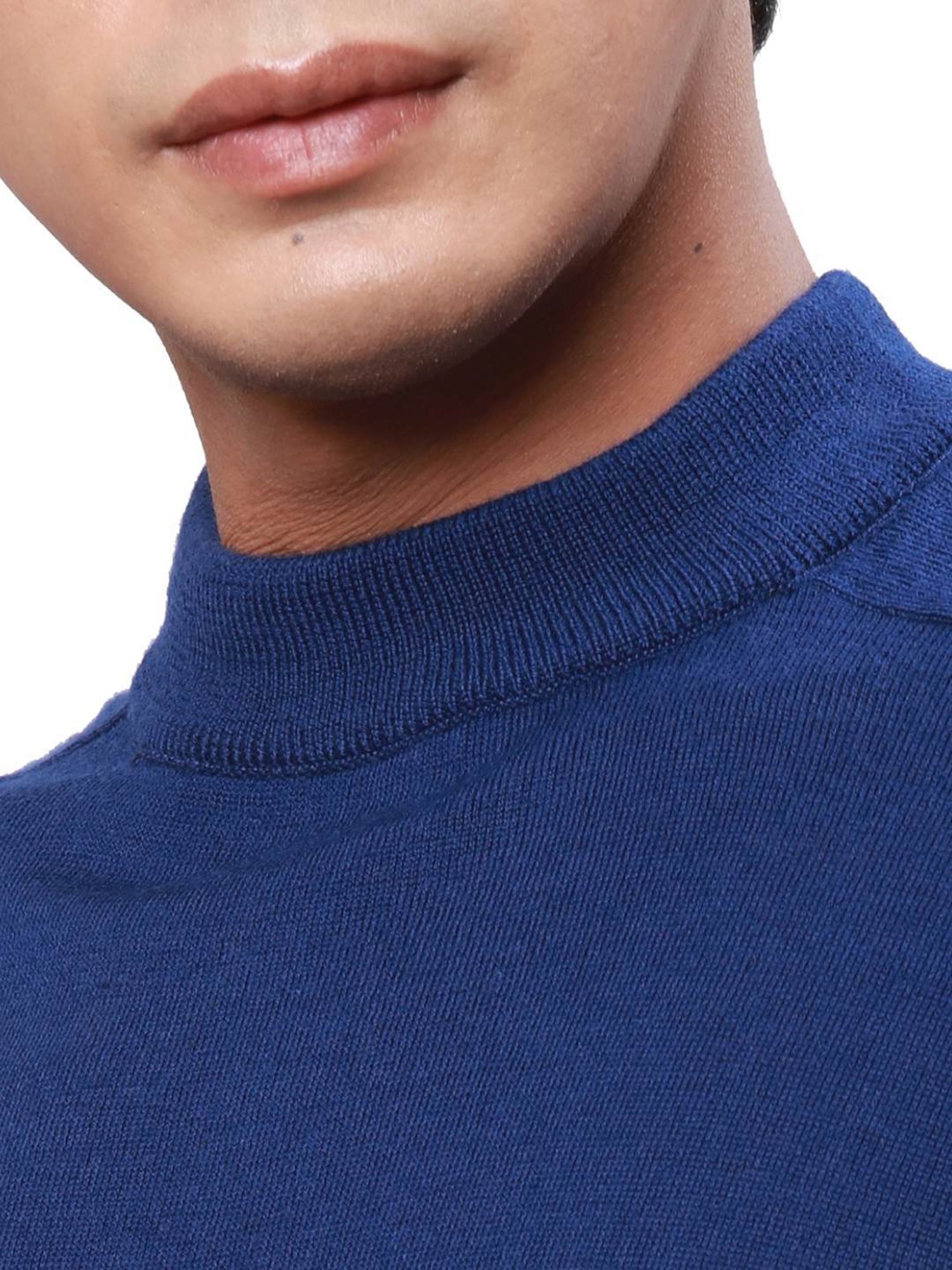 Park Avenue Blue Regular Fit Sweater