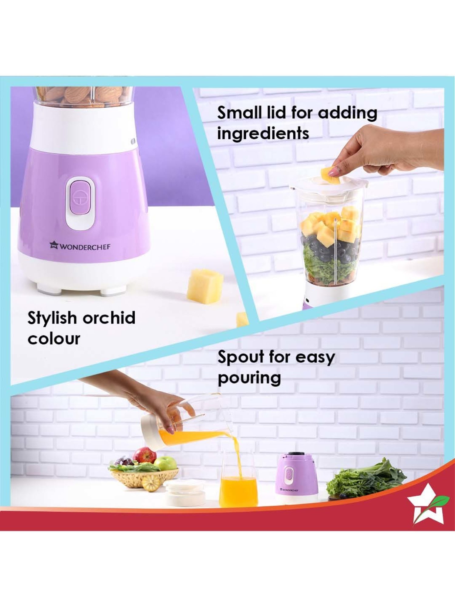 Wonderchef Orchid Personal Blender 250W 100% Copper Motor Smoothie Maker 2-Yr Warranty,Purple