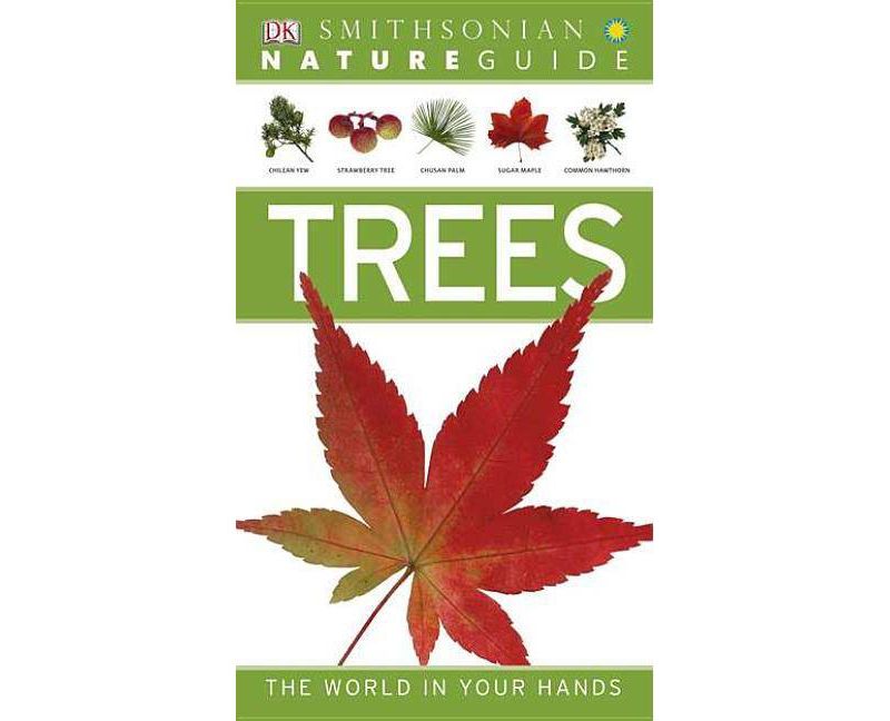 House Blessings - by  June Cotner (Hardcover)