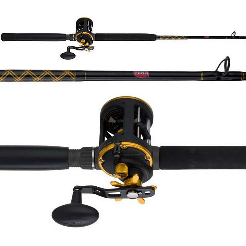 Penn SQL20LWLH Squall Level Wind Left Hand Fishing Reel with 2 Stainless Steel Bearings for Freshwater or Saltwater Fishing, Size 20 (Black Gold)