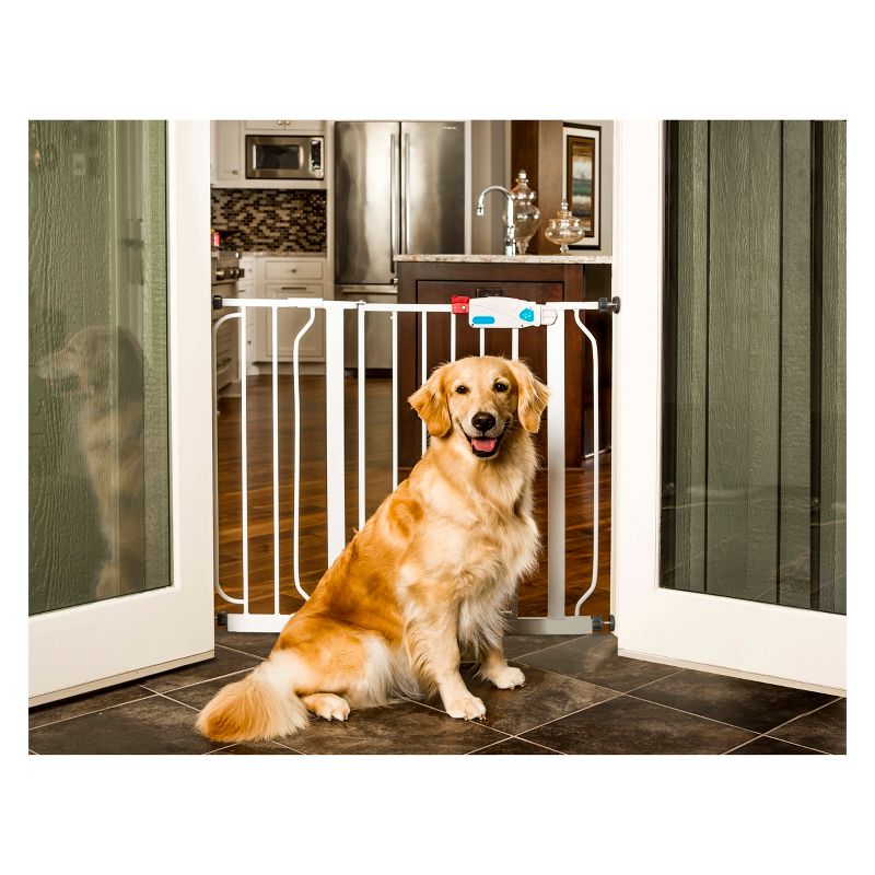 Carlson Extra Wide Cat and Dog Gate with Small Door