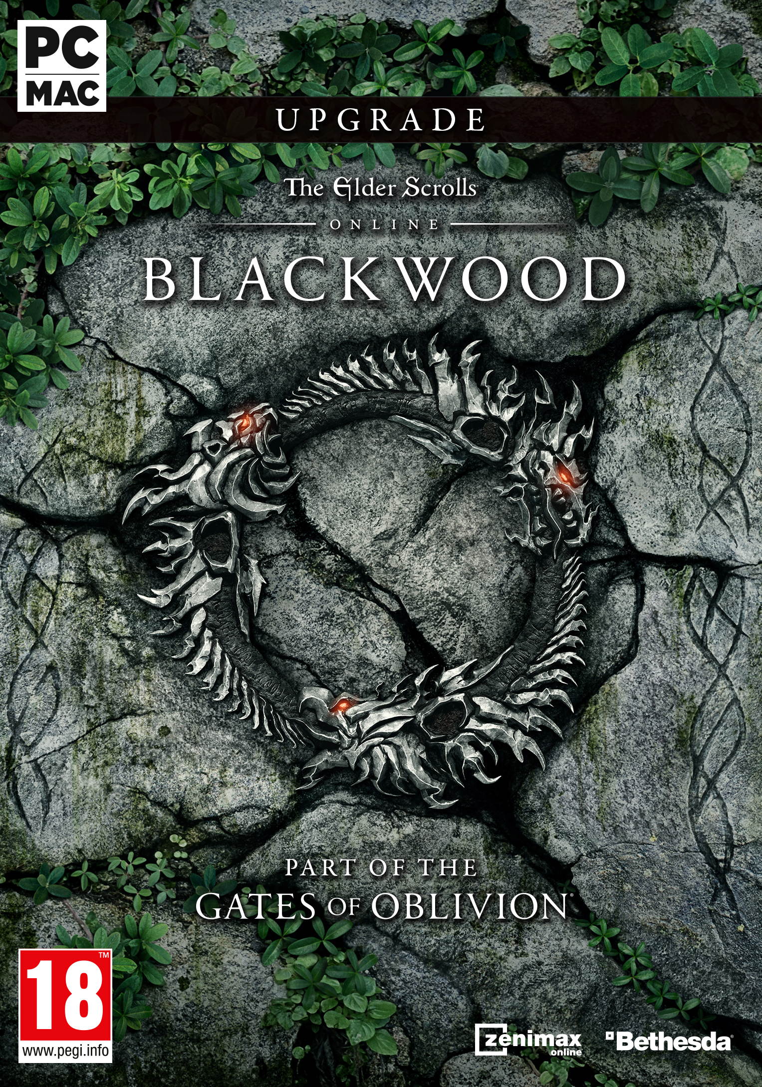 The Elder Scrolls&reg; Online Collection: Blackwood&trade;  [Online Game Code]