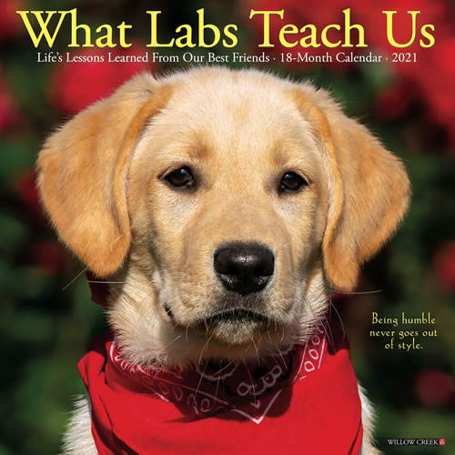 2021 What Labs Teach Us Wall