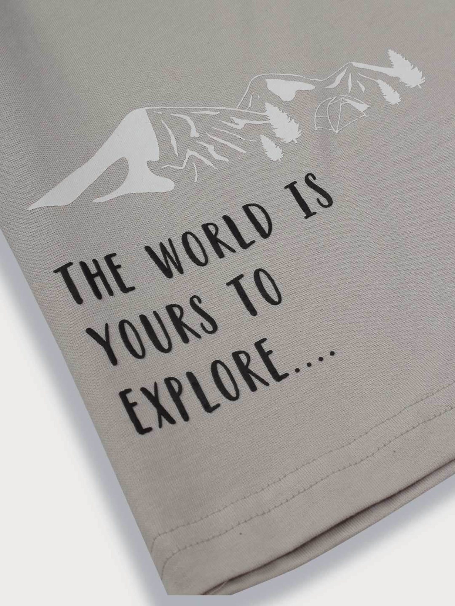 Palm Tree Kids Grey Printed Full Sleeves T-Shirt