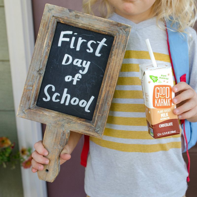 Good Karma Chocolate Flaxmilk - 6pk/6.75 fl oz Carton