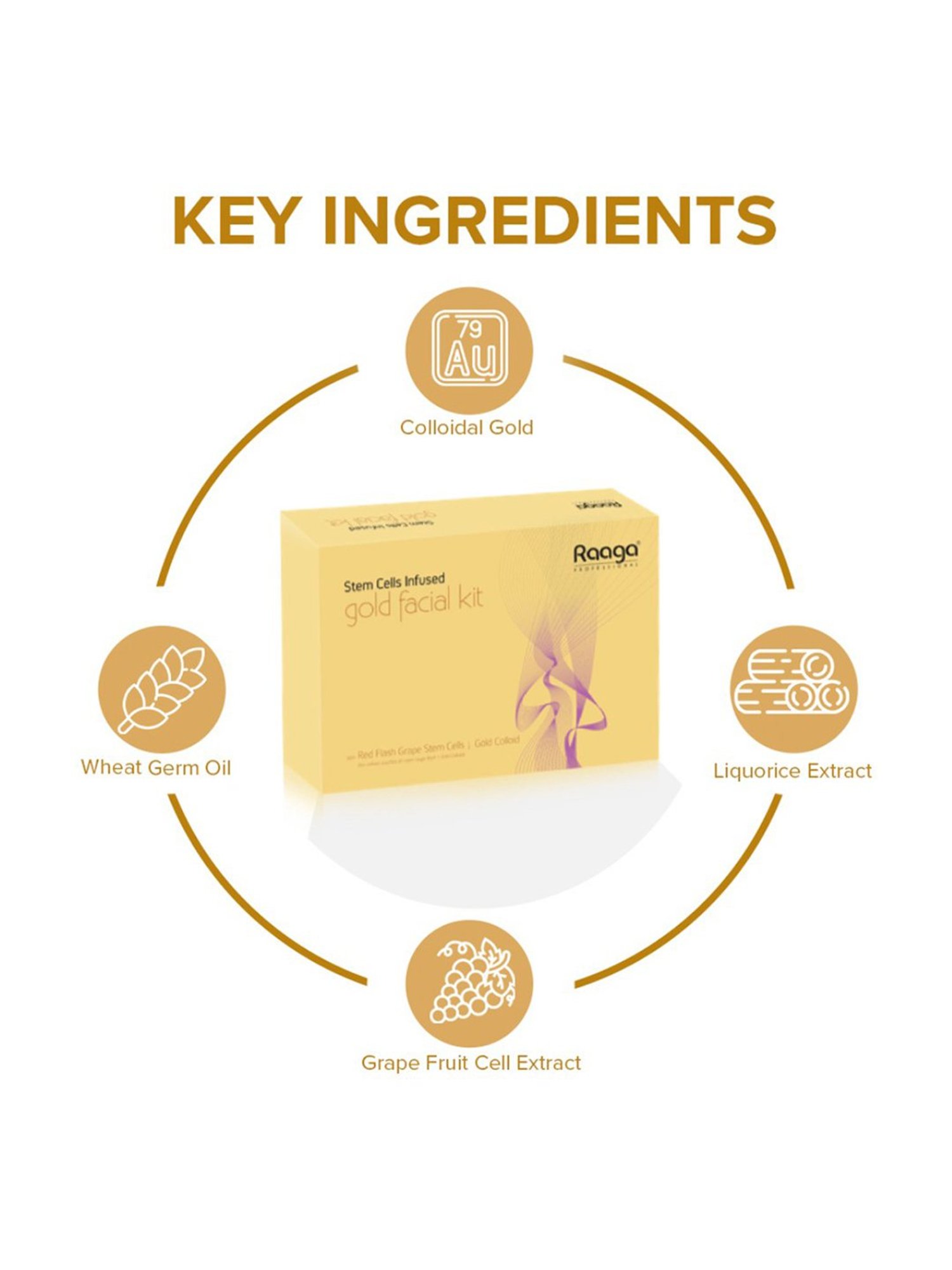 Raaga Professional Stem Cells Infused Gold Facial Kit