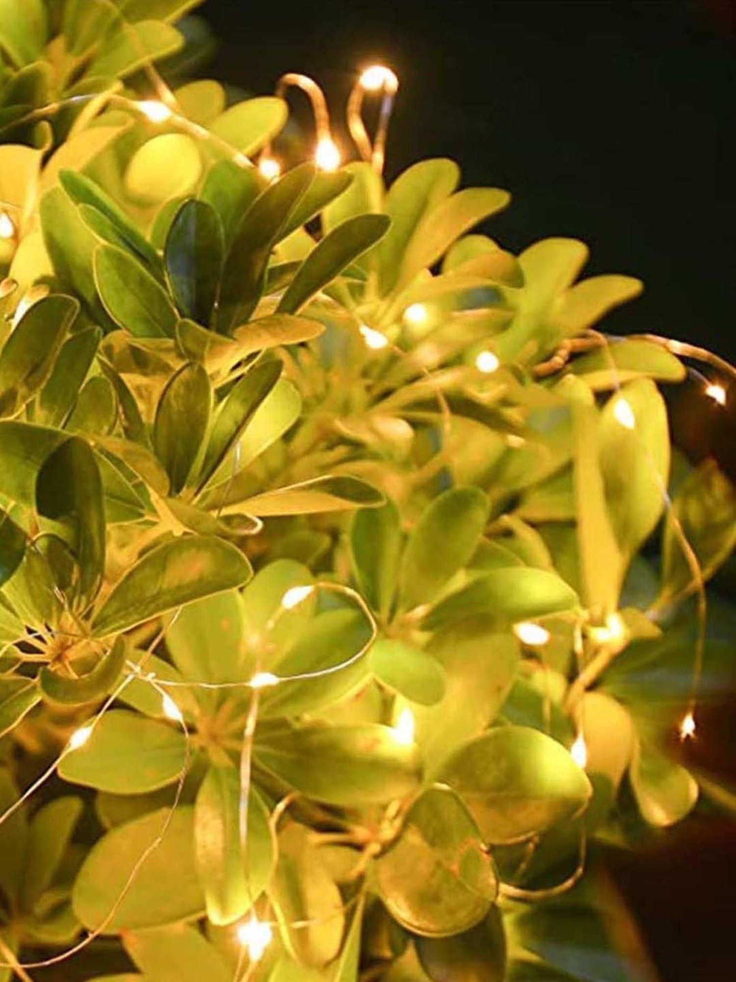 Homesake Yellow Copper 50-Led Fairy String Lights