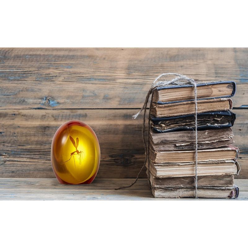 Stamina 36" Folding Trampoline