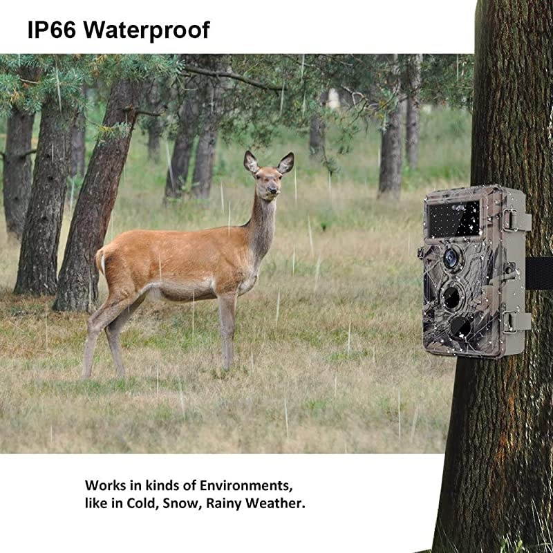 Trail Camera 16MP 1080P Game Camera with No Glow Night Vision Up to 65ft 02s Trigger Time Motion Activated Unique Keypad 24quot Color Screen Waterproof Wildlife Deer Hunting Cam