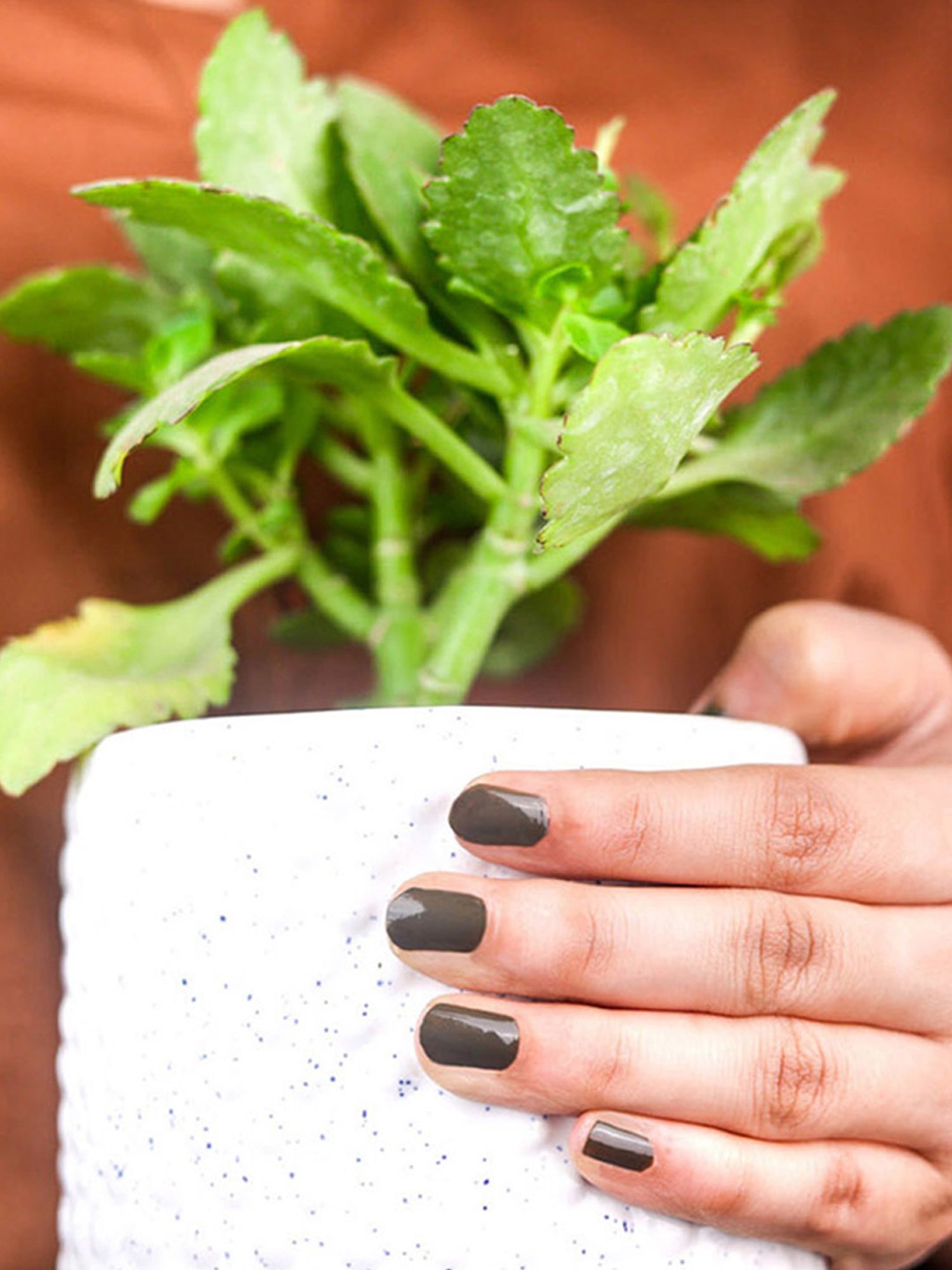 Color Fx Xprss Nail Enamels Combo - Pack of 4