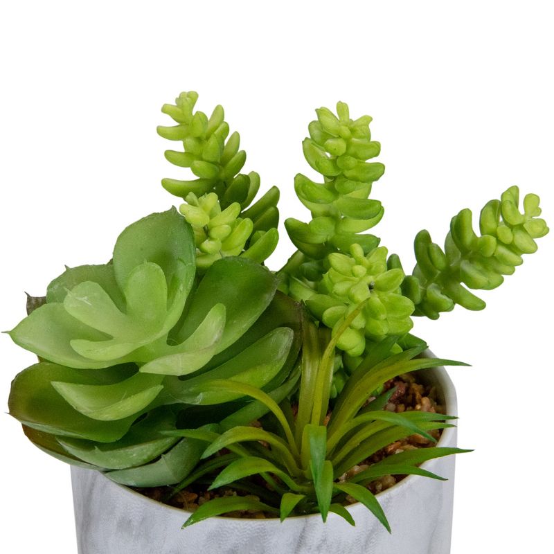Northlight 6.5" Green Artificial Succulent Arrangement in Faux Marble Pot