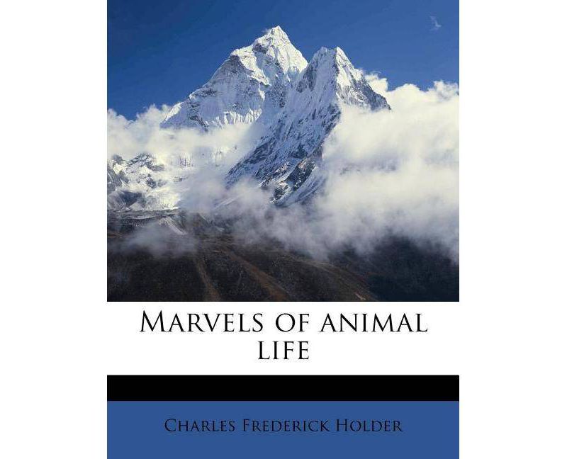 Religion and Myth in the Marvel Cinematic Universe - by  Michael D Nichols (Paperback)