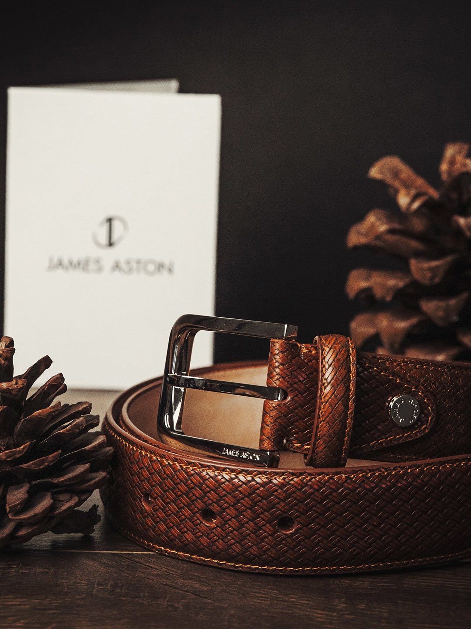 James Aston Brown Leather Waist Belt for Men