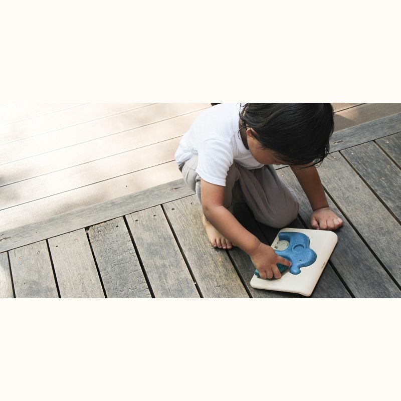 Wuundentoy Gold Edition: View at Kremlin Moscu Jigsaw Puzzle - 500pc