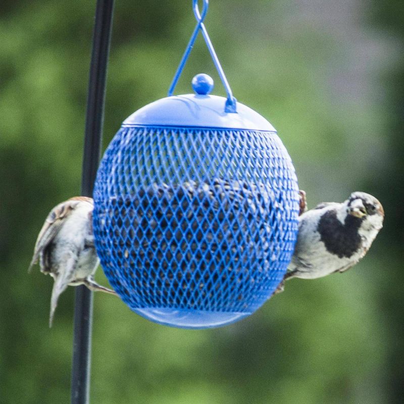 3pk Hanging Bird Feeder Set - Backyard Expressions