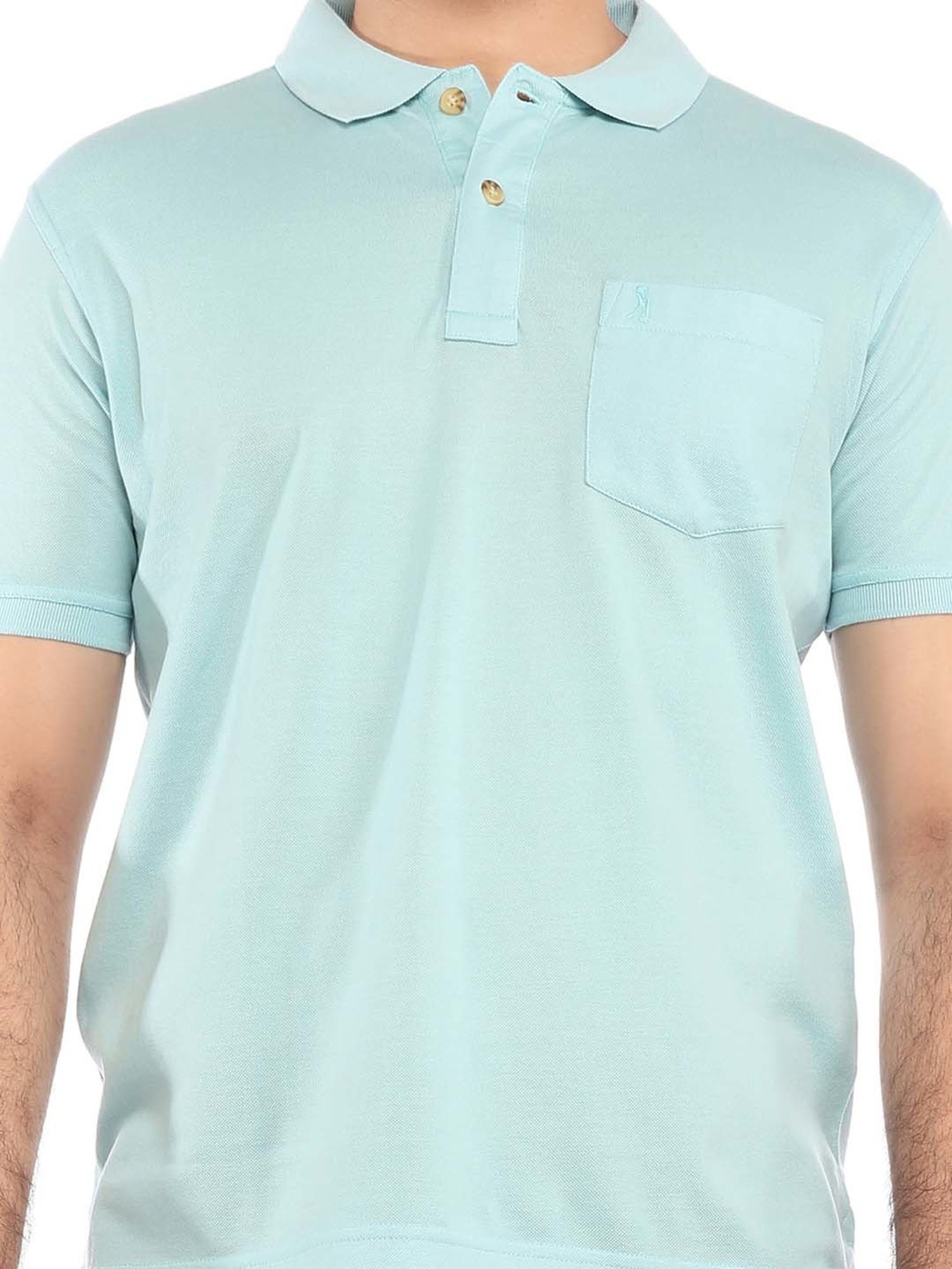 Burnt Umber Aqua Regular Fit Polo T-Shirt