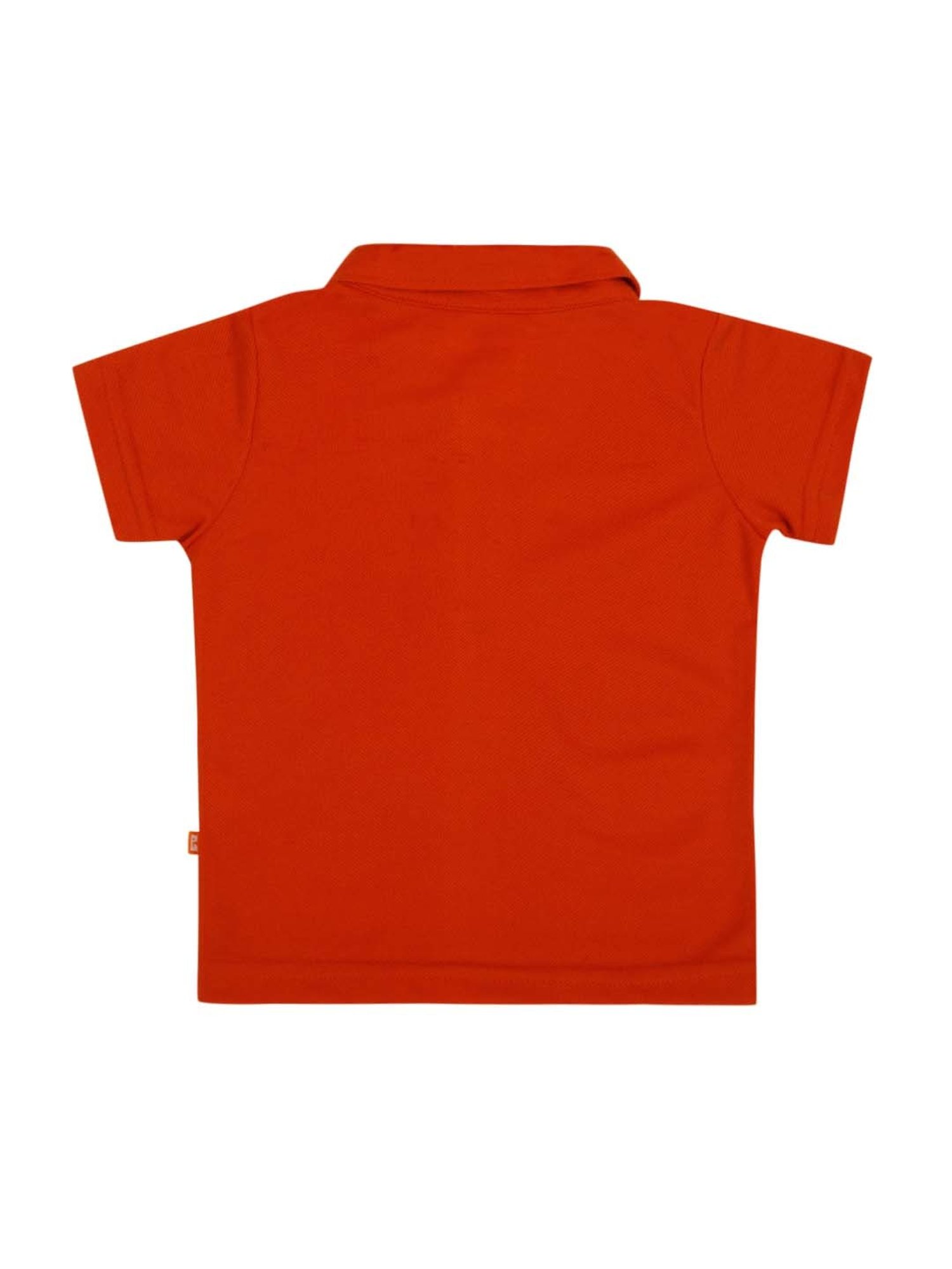 Ed-a-Mamma Baby Green Printed T-Shirt