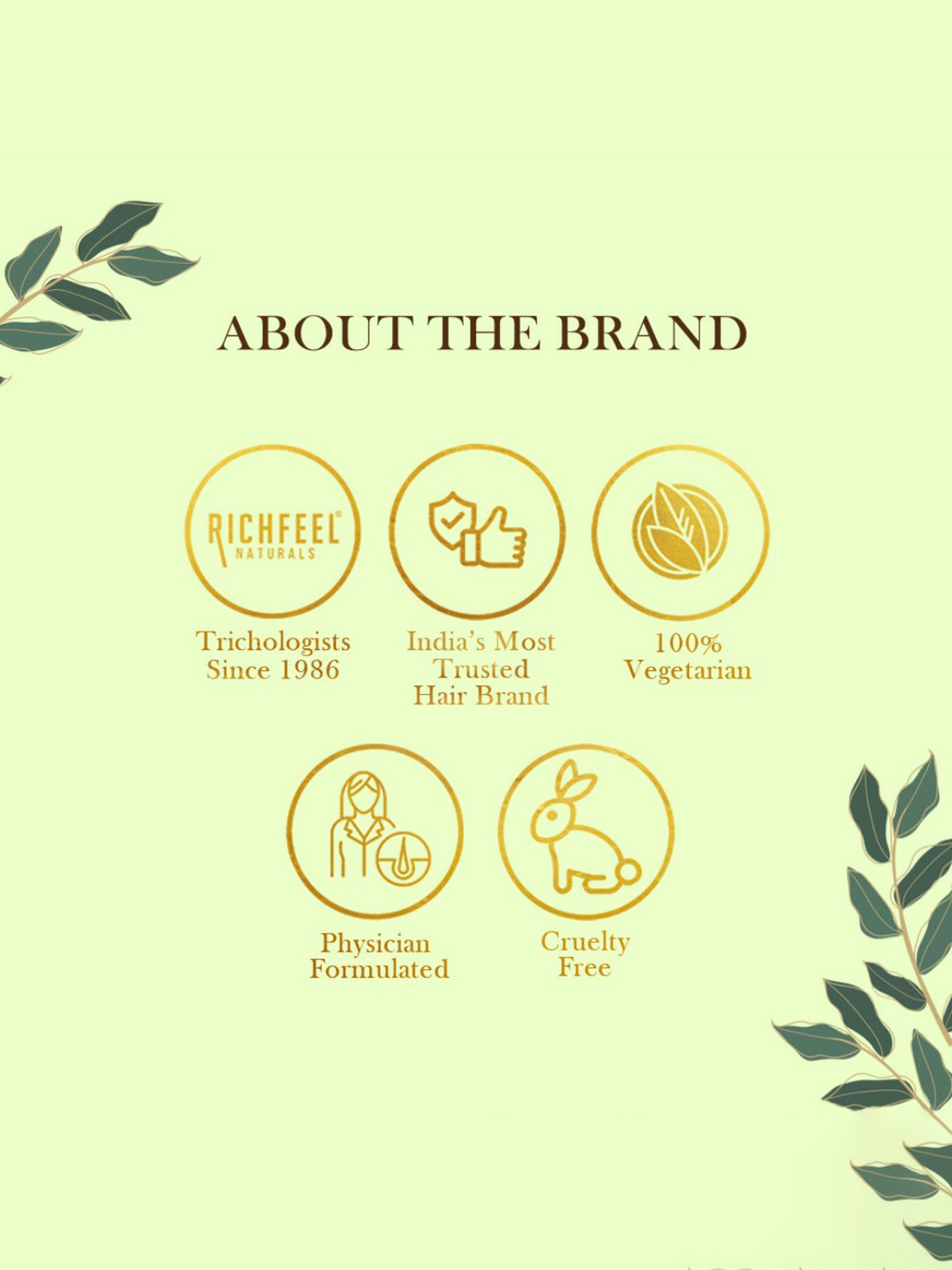 Richfeel Brahmi Intensive Repair Hair Pack (100 gm) - Pack of 3