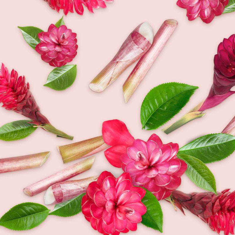 Love Beauty and Planet Black Tea Kombucha and Red Ginger Conditioner - 13.5 fl oz