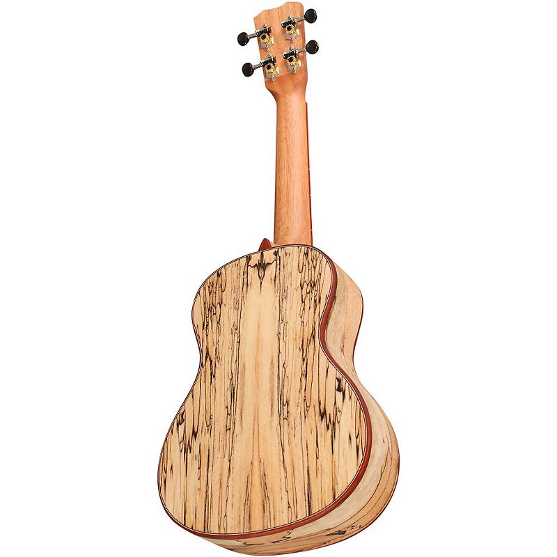 Cordoba 24C Spruce Spalted Maple Concert Ukulele Natural