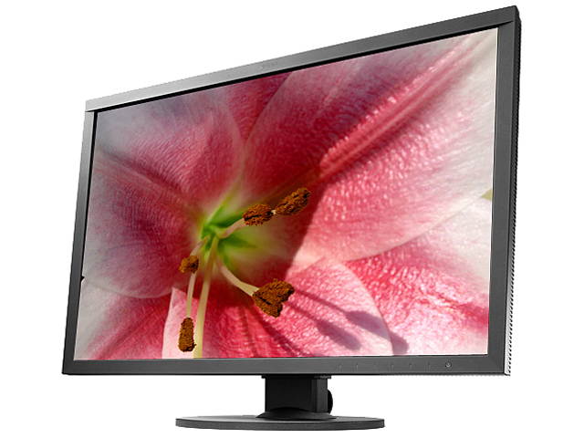 Eizo ColorEdge CS2420 24.1" LED LCD Monitor - 16:10 - 15 ms
