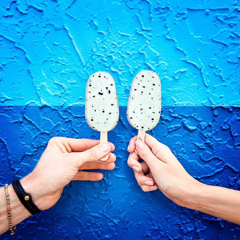 Yasso Frozen Greek Yogurt - Mint Chocolate Chip Bars - 4ct