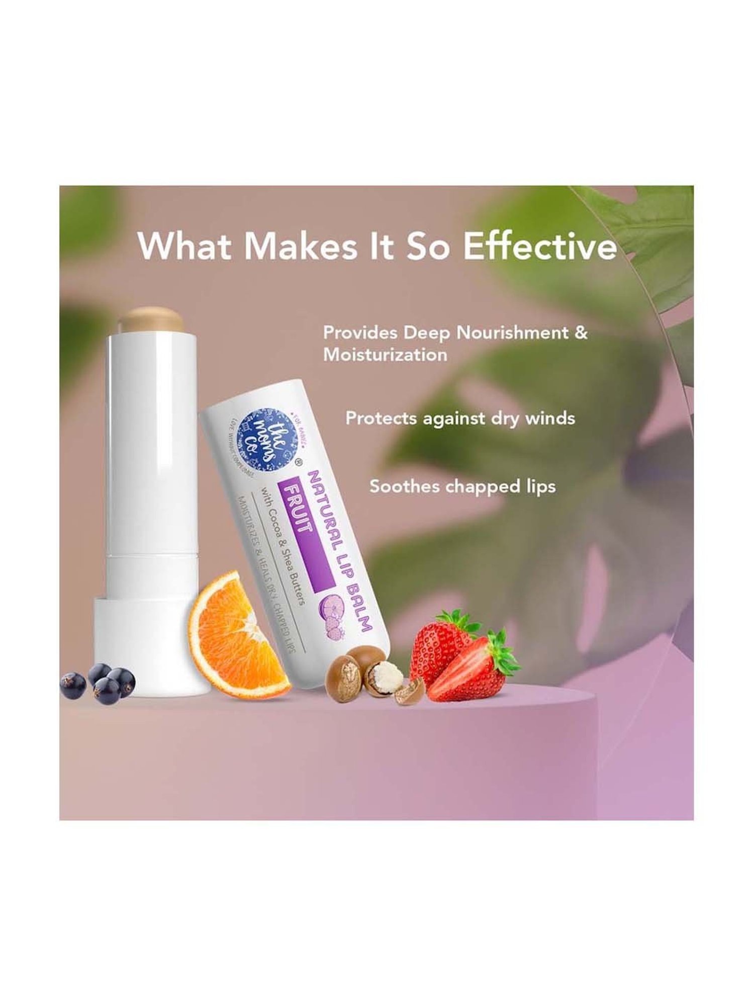The Moms Co. Natural Fruit Lip Balm - 5 gm