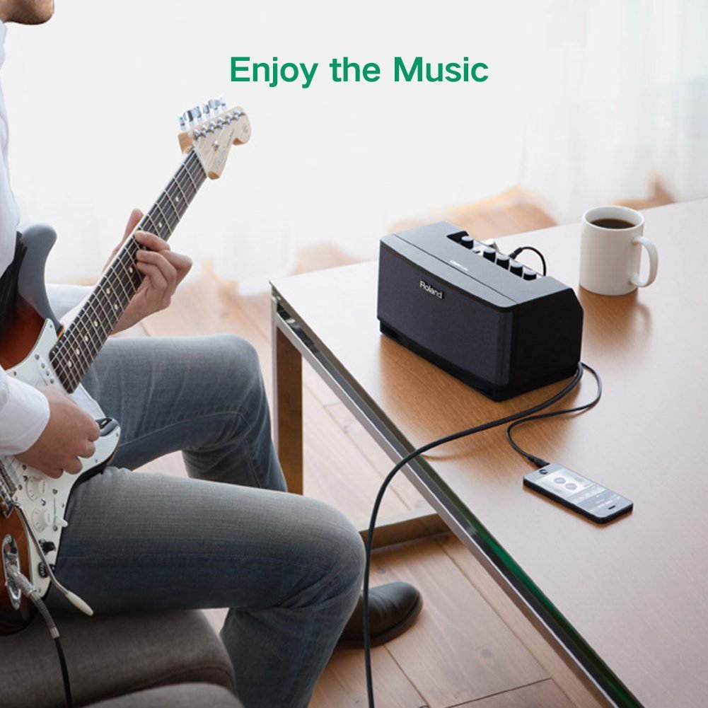 Wanmingtek 3.5mm 1/8" Male to 6.35mm 1/4" Male TRS Stereo Audio Cable with Infection Molding Shell Design for iPod Laptop Home Theater Devices and Amplifiers Black (3.3ft, 1meter)