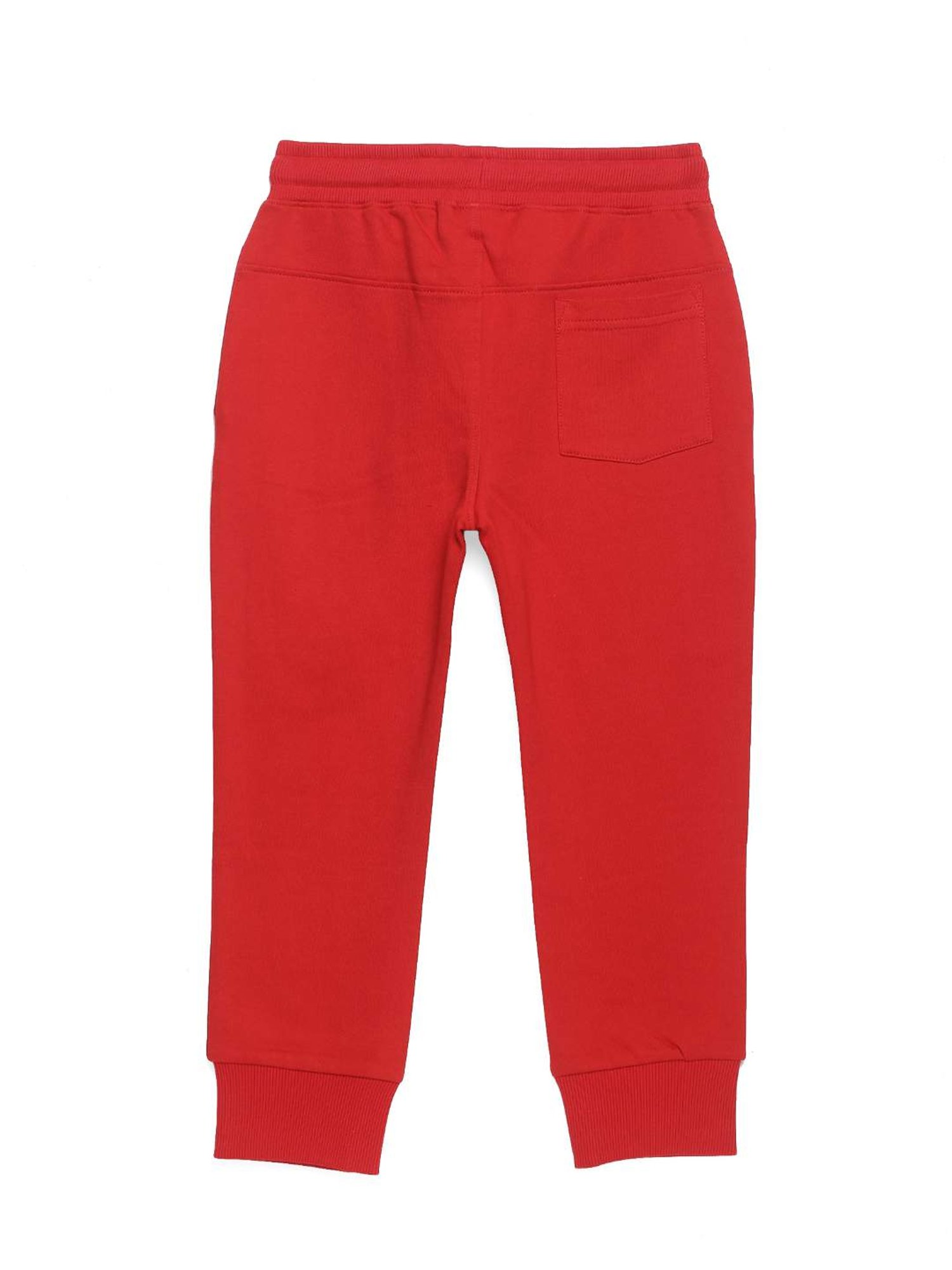 Plum Tree Boys Red Printed Joggers