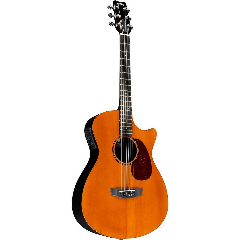 RainSong Vintage Series OM Acoustic-Electric Guitar Vintage Tint
