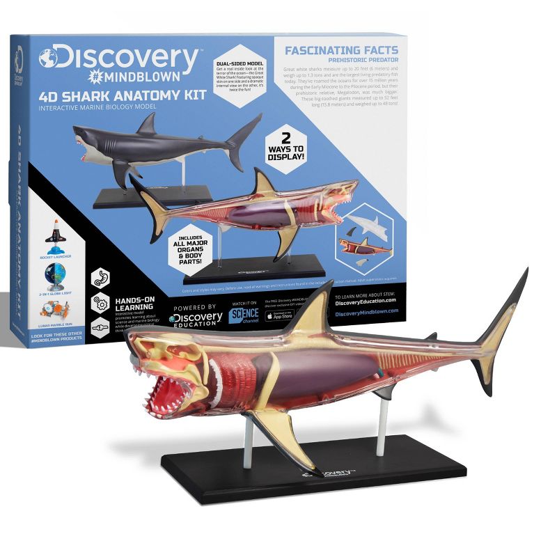 Discovery Kids Toy Anatomy Shark Kit