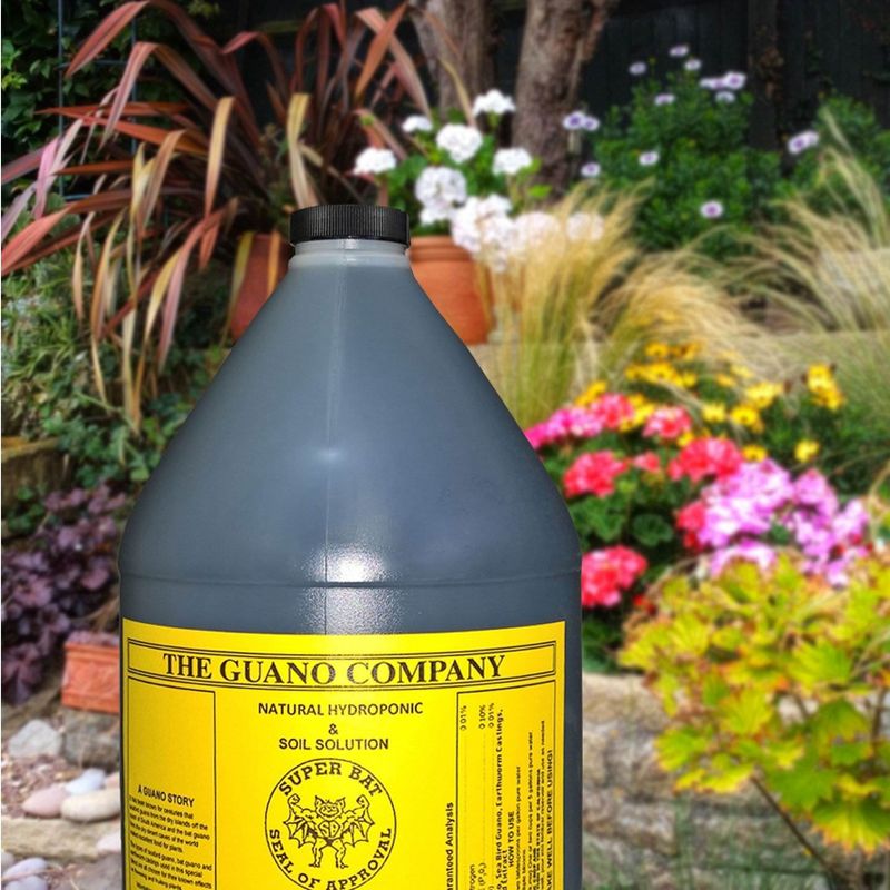 Hydrofarm GUBS128C Super Bat Budswel Organic Hydroponic Liquid Nutrient Solution for Strong Blooms in Garden Soil, Flowers and Plants, 1 Gallon