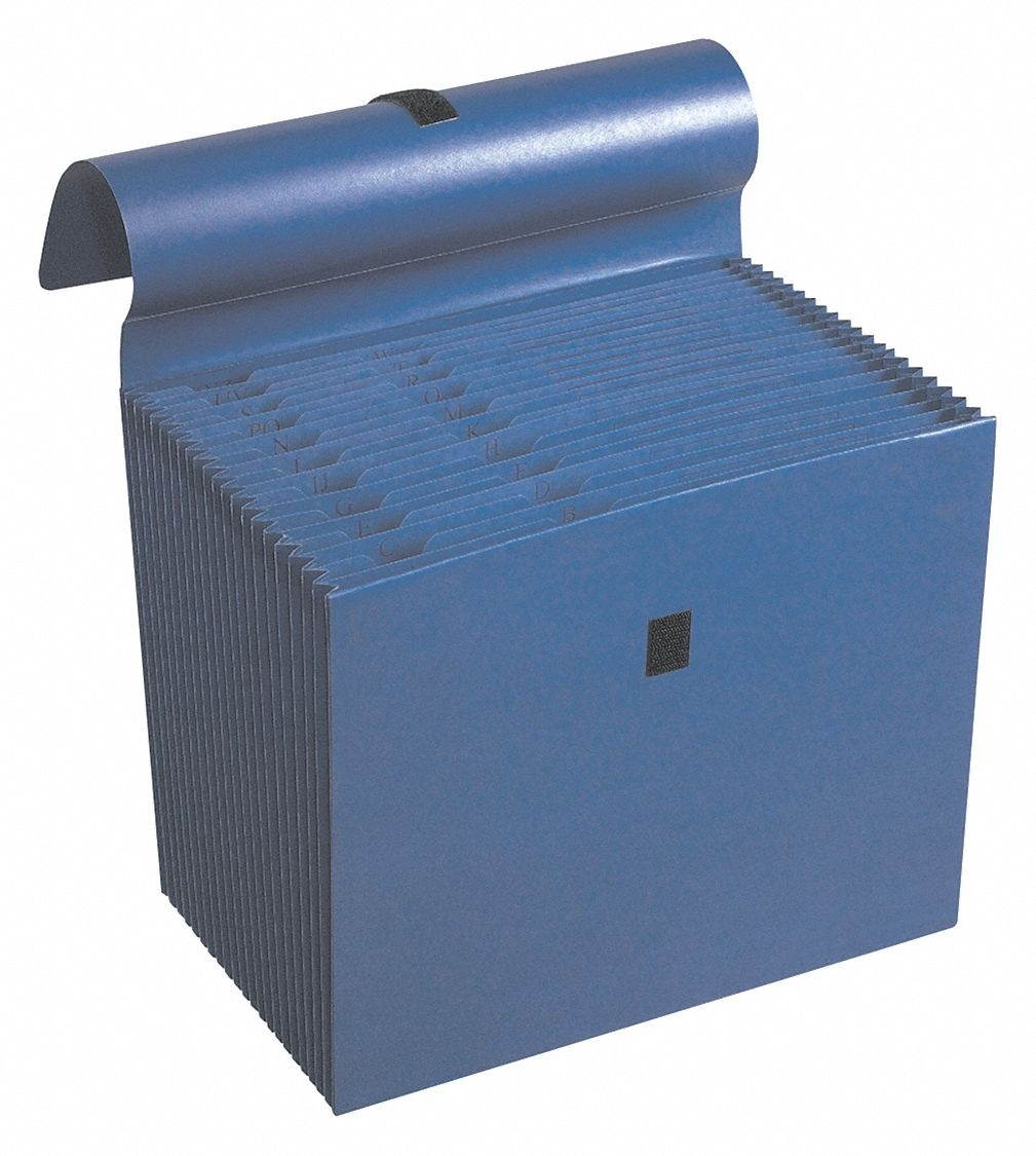 Wilson Jones&reg; ColorLife&reg; Expanding File