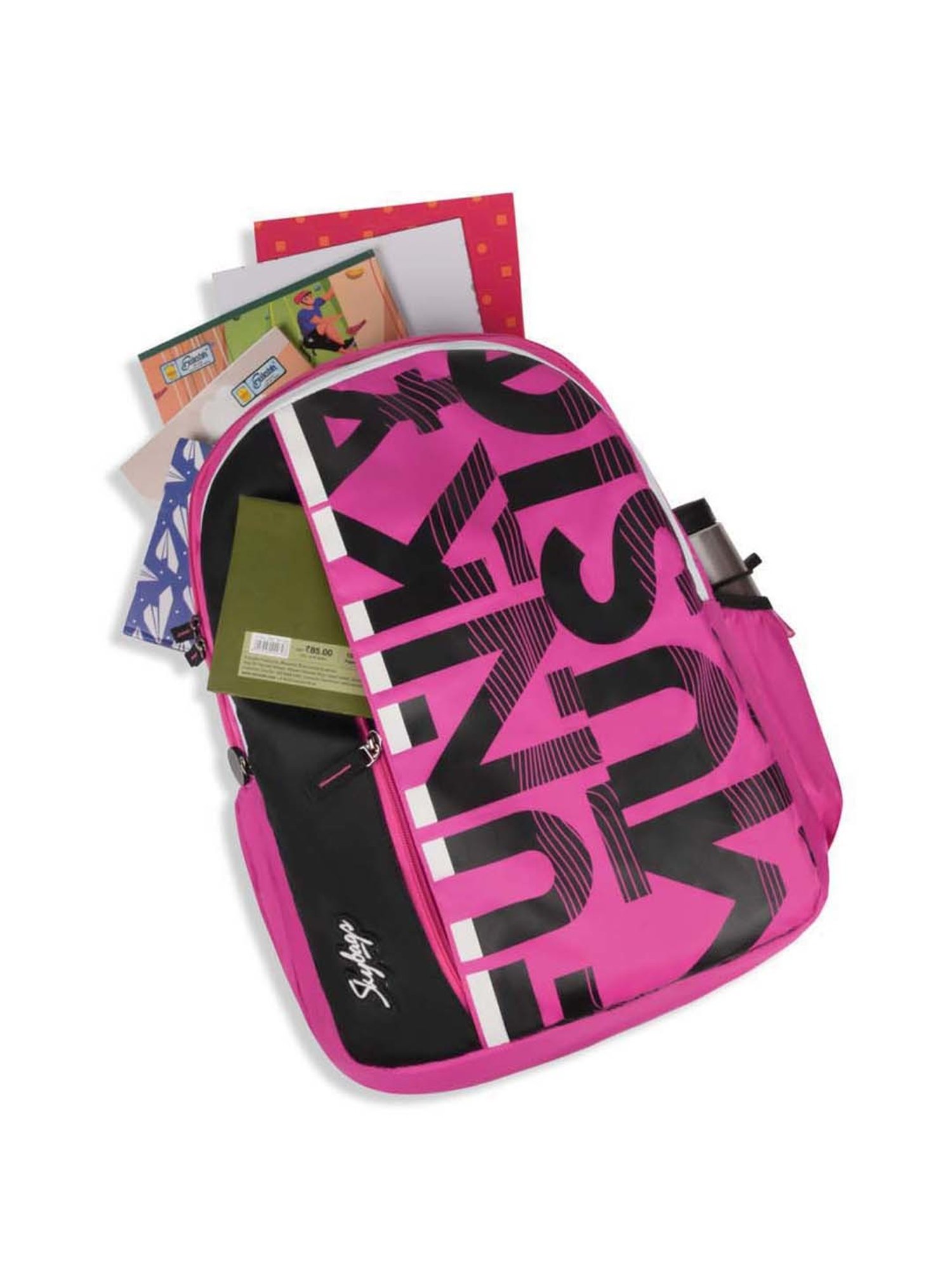 Skybags Stan Pro 01 35 Ltrs Pink Medium Backpack
