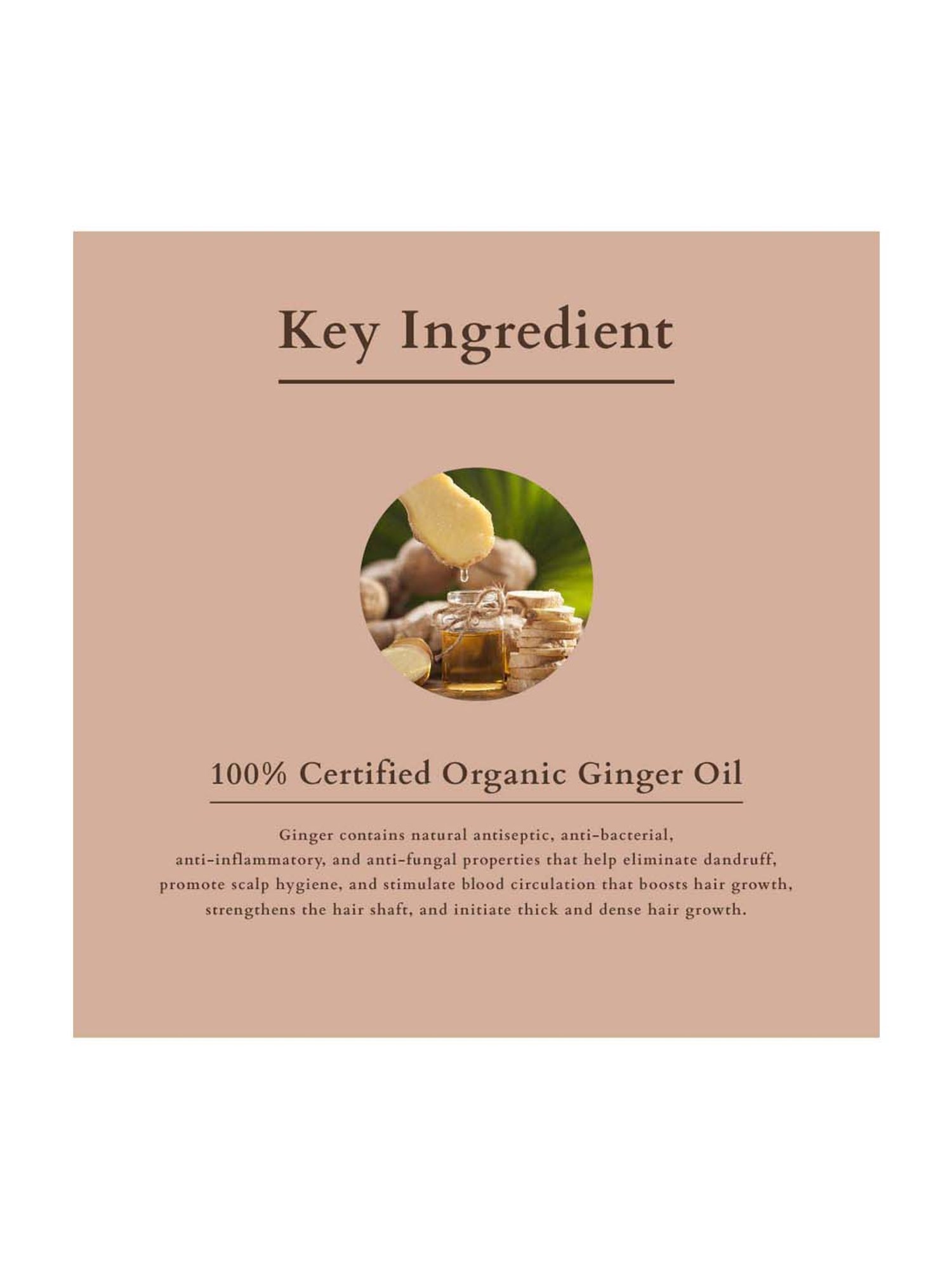 Lotus Organics+ Intensive Scalp Revitalizing Tonic - 100 ml