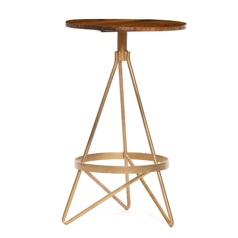 Micah Counter Height Barstool Elm/Gold - Carolina Chair & Table