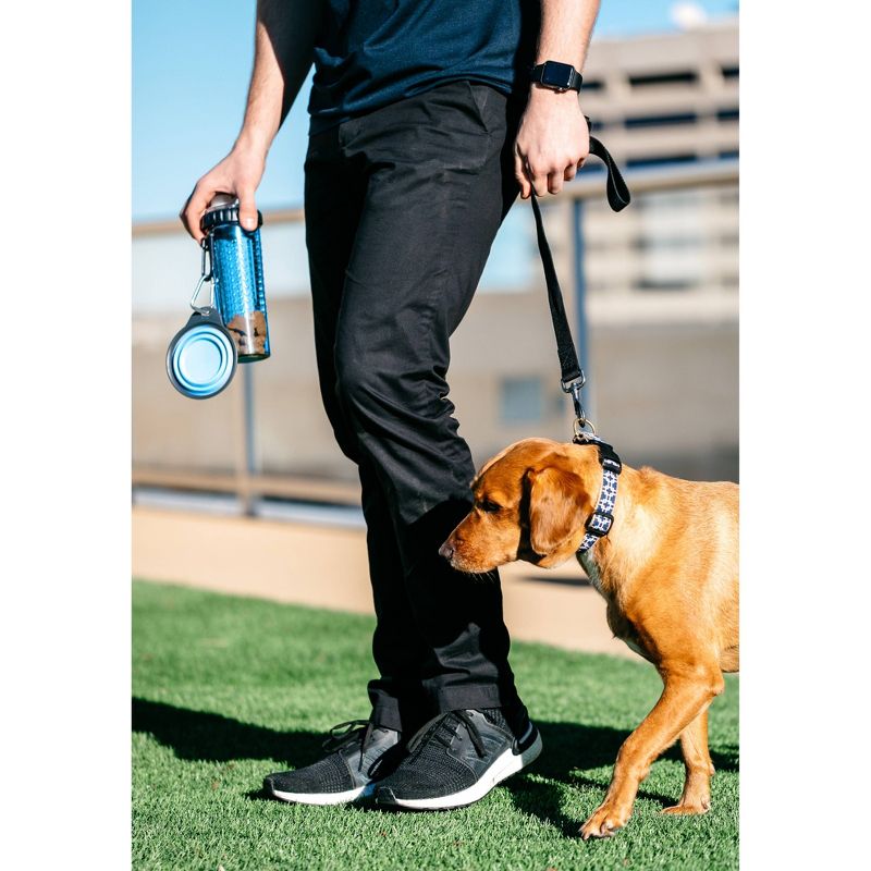 Dexas SnackDuo with Travel Cup - Blue