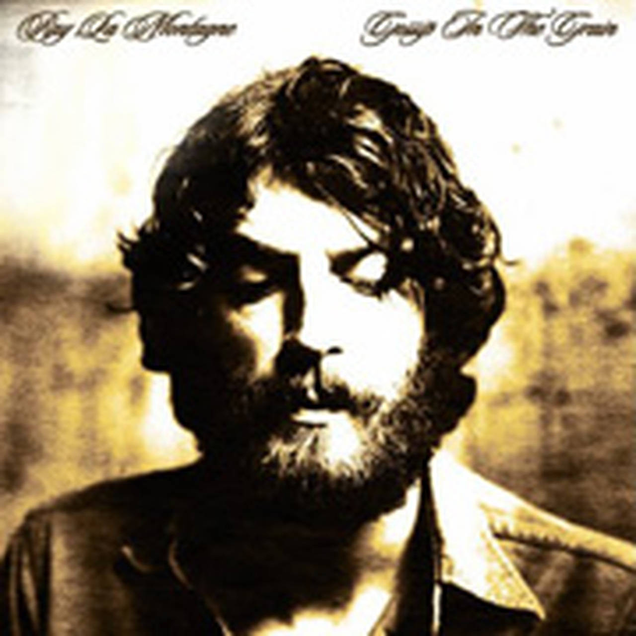 Ray Lamontagne Gossip in the Grain 180g 2LP (Vinyl)